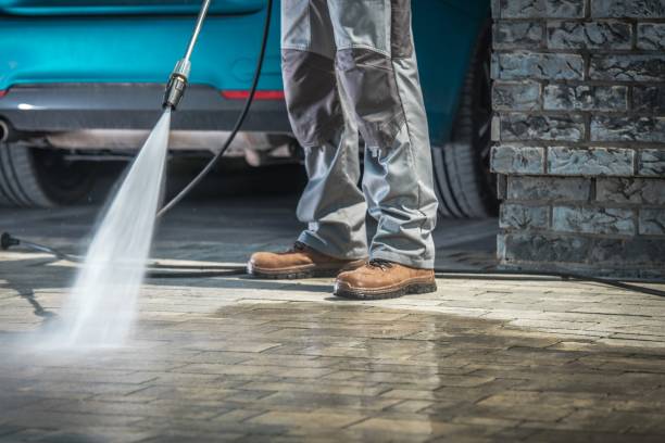 Boat and Dock Cleaning in Gray, LA